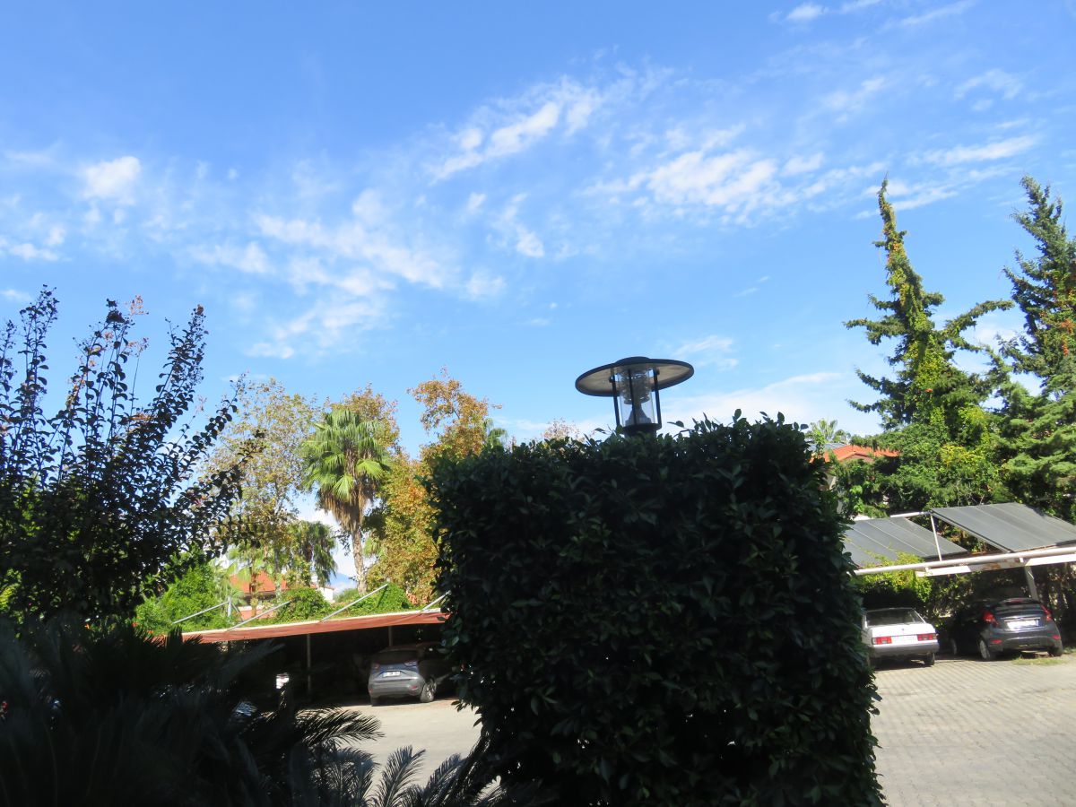 imagini hotel Sentido Trendy Verbena